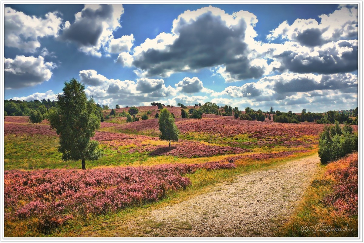 Das Heidetal, nähe Wilseder Berg, mit Blick auf den Stattberg bei Oberhaverbeck, Ende August 2012.