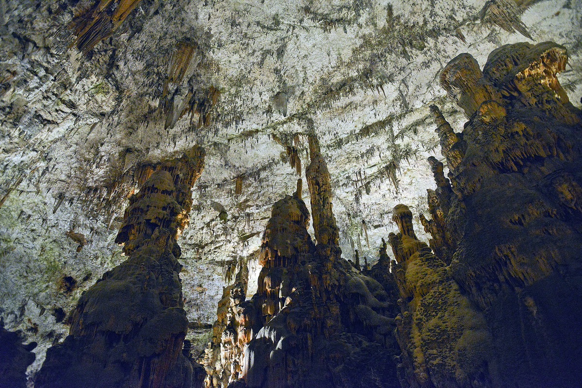 Das Höhlensystem von Postojna ist der obere Teil des stark durch den Karst geprägten Einzugsgebietes der Ljubljanica und ist mindestens seit dem frühen Pleistozän durch die Pivka, den Hauptabfluss des Pivka-Beckens und ihre unterirdischen Zuflüsse geschaffen worden. Aufnahme: 27. Juli 2016.