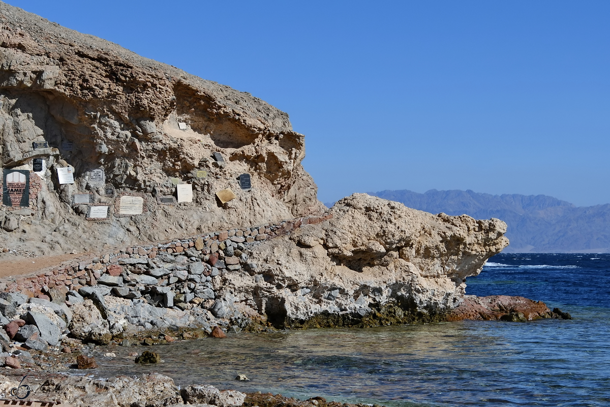 Das Küstensaumriff nördlich von Dahab am Tauchplatz  Blue Hole . (Ägypten, Dezember 2018)