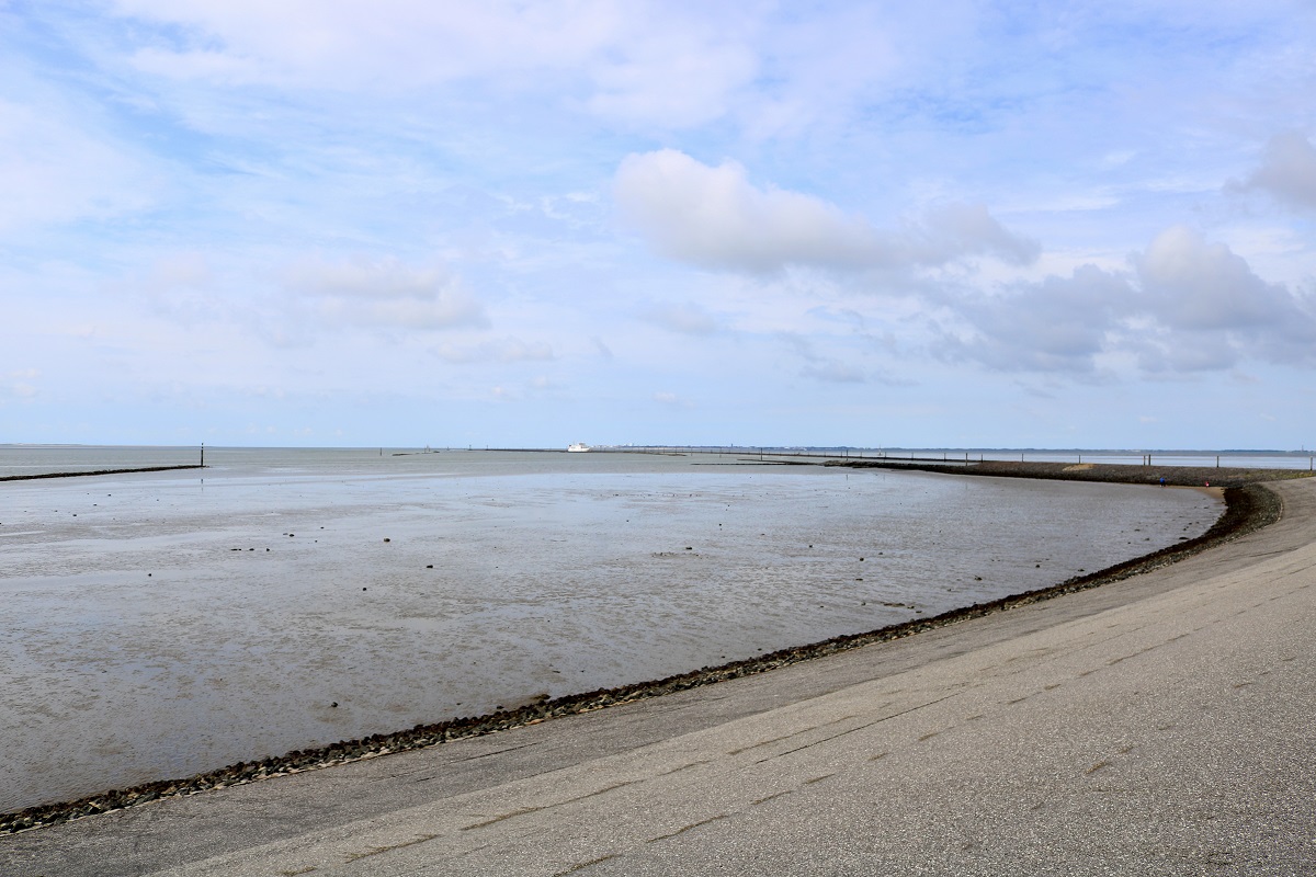 Das Nordseeufer in Norddeich bei Niedrigwasser, Blickrichtung Osten zu den Muschelbänken und zur Itzendorfplate. Im Hintergrund ist eine Personenfähre zu sehen. [24.7.2017 - 16:58 Uhr]