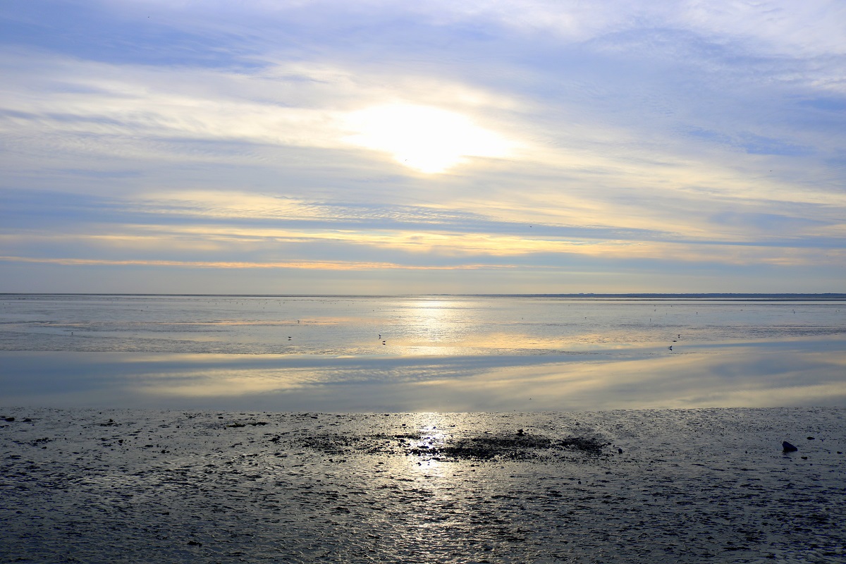 Das Nordseeufer in Norddeich bei Niedrigwasser und beginnendem Sonnenuntergang, Blickrichtung Nordseeinsel Juist. [26.7.2017 - 20:10 Uhr]