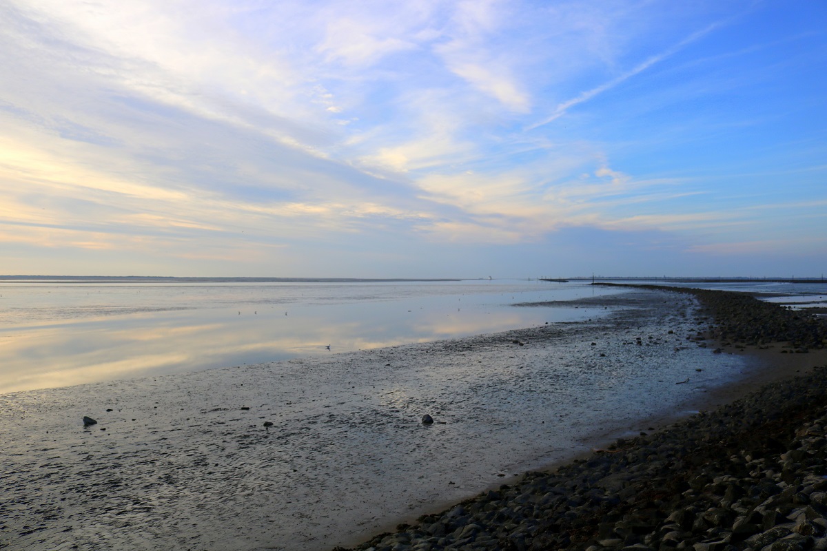 Das Nordseeufer in Norddeich bei Niedrigwasser und beginnendem Sonnenuntergang, Blickrichtung Nordseeinsel Juist und Norderney (r.). [26.7.2017 - 20:10 Uhr]