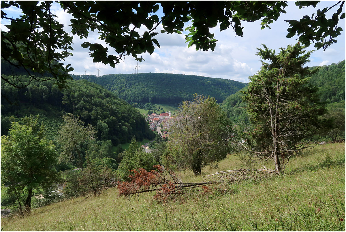 Das obere Filstal -

Ausblick vom Naturschutzgebiet 'Sterneck' zum kleinen in dem engen Tal liegenden Städtchen Wiesensteig.

10.08.2021 (M)