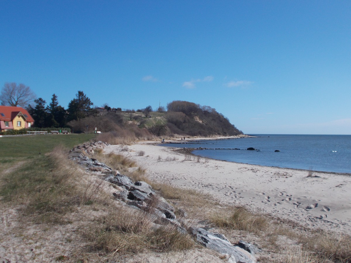 Das Südpferd am Strand von Thiessow am 03.April 2015.