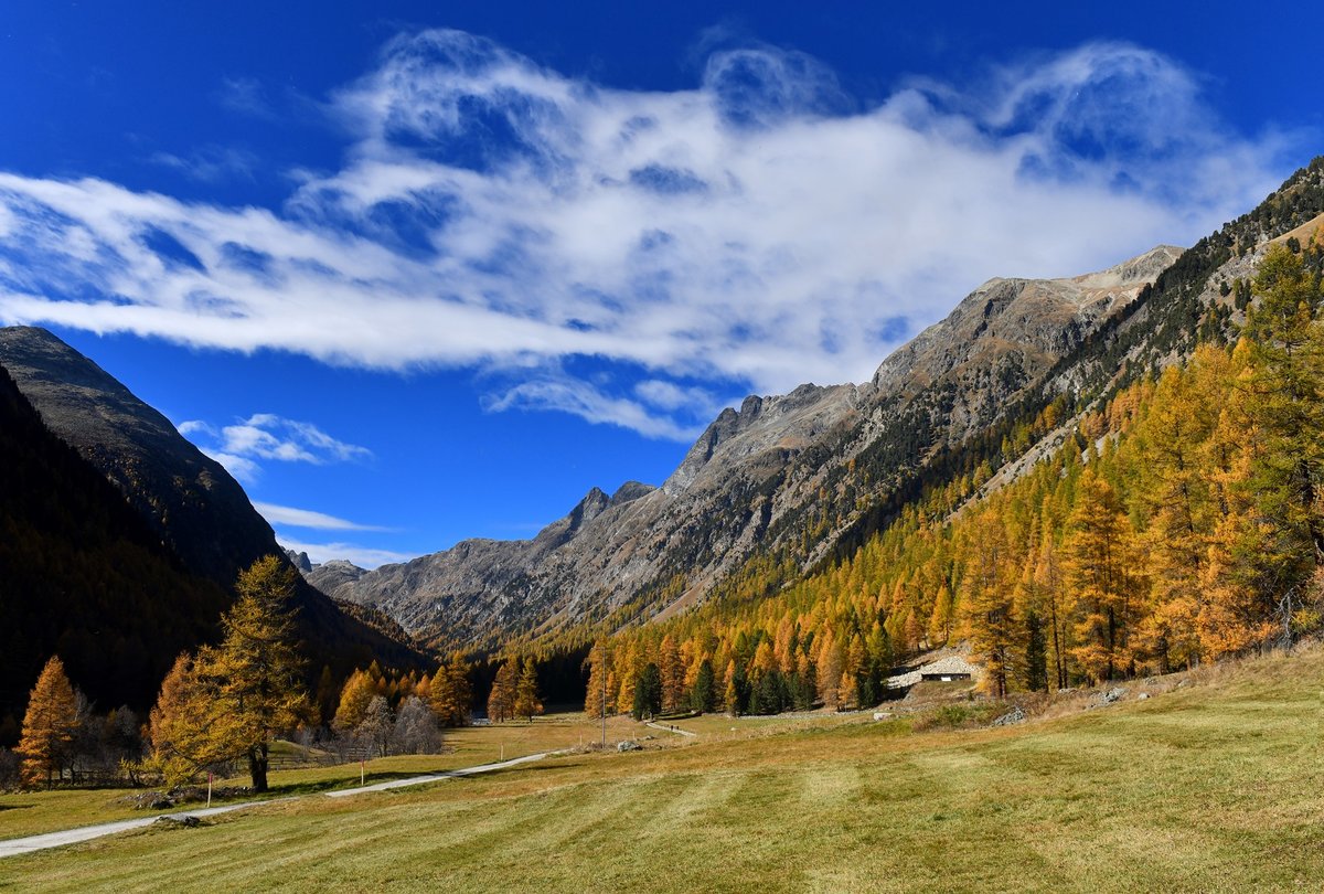 Das Val Bever im Engadin zeigte sich am 21. Oktober 2018 besonders schön aufgrund der herbstlichen Verfärbung. 