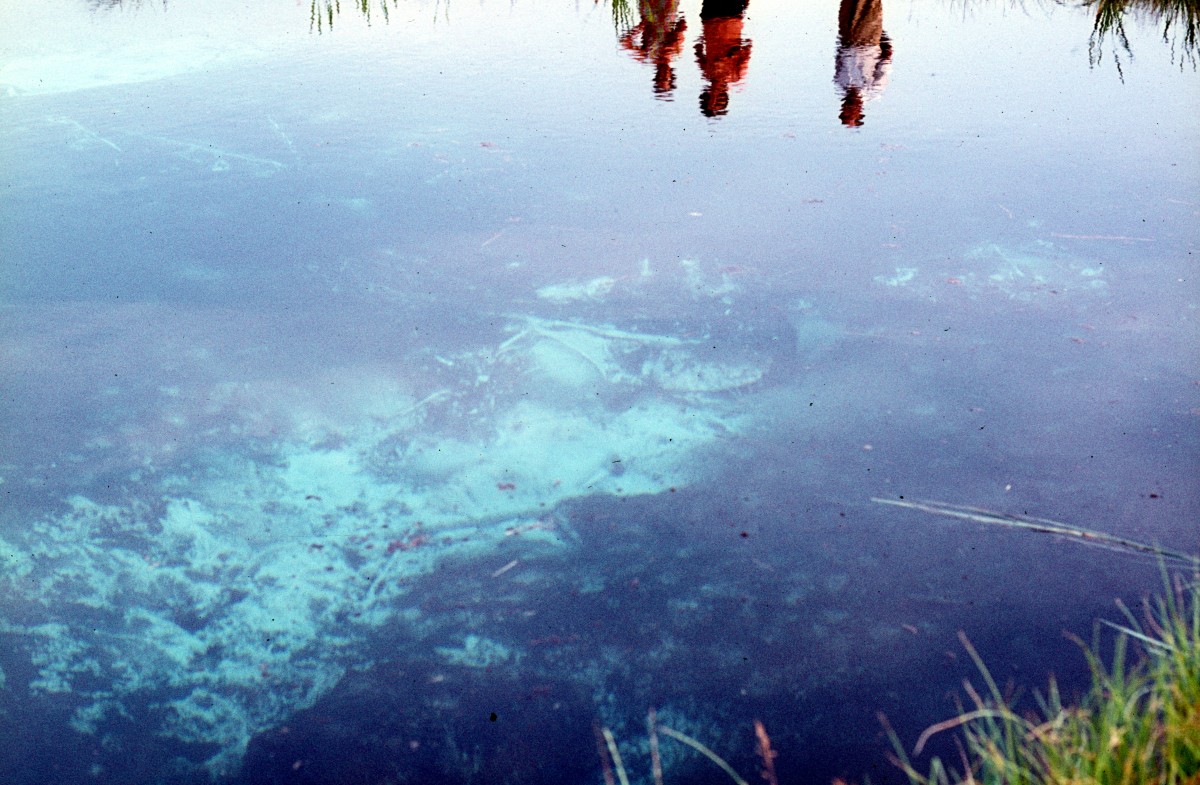 Das Wasser in  Store Blåkilde , dh. in der  Grossen Blauquelle , ist tatsächlich blau. - Datum: 23. Juli 1972.