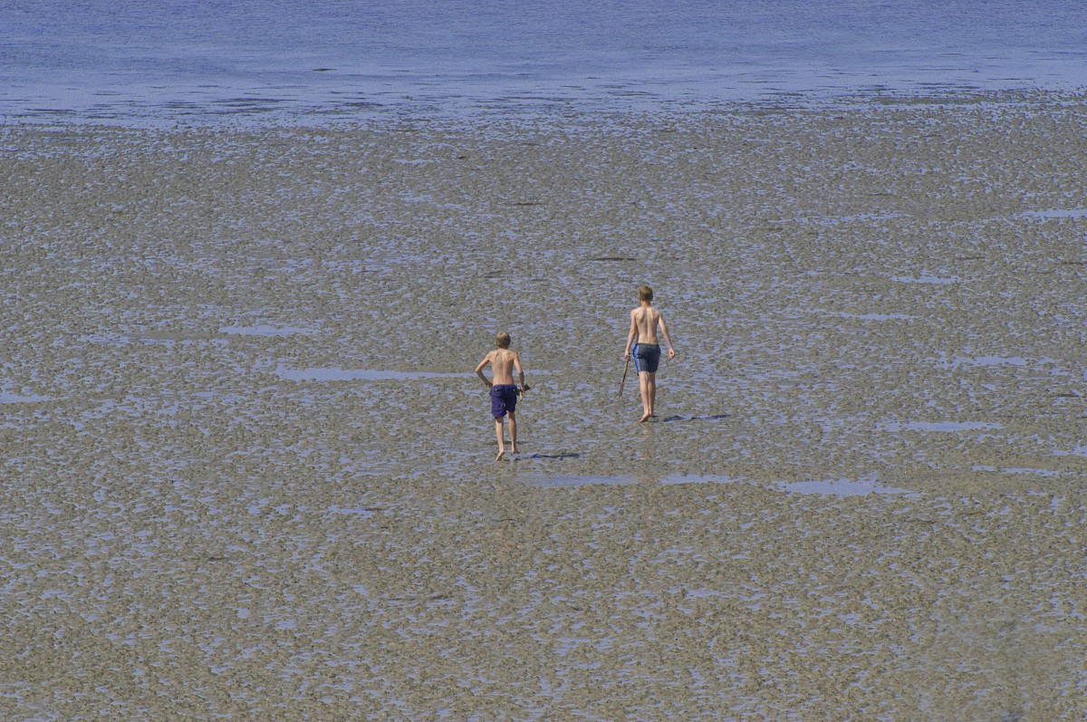 Das Wattenmeer bei Ebbe vom Deich bei Lüttmoorsiel aus gesehen. Aufnahme: Mai 2008.