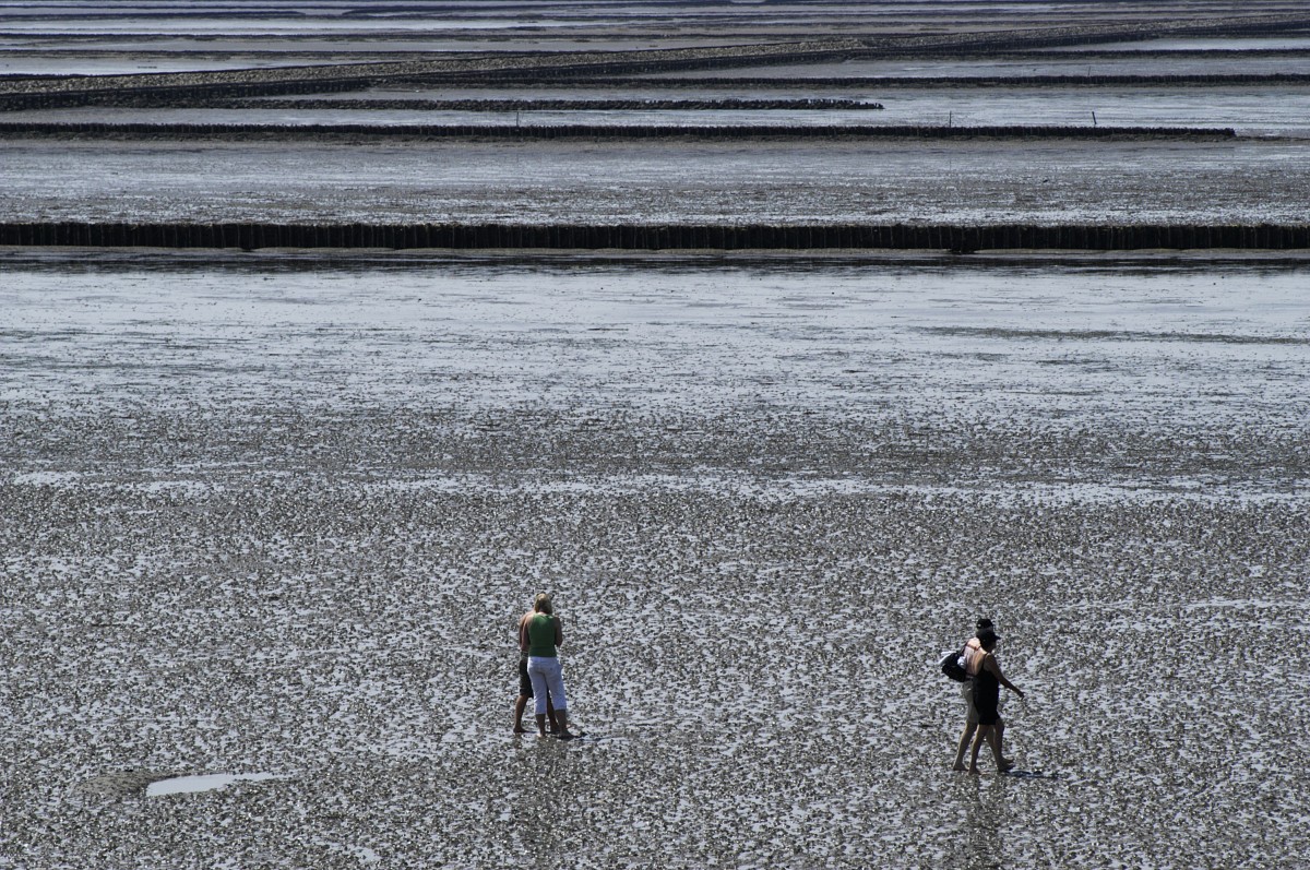 Das Wattenmeer bei Ebbe vom Deich bei Lüttmoorsiel aus gesehen. Im Vordergrund stehen Sie Wattwanderer auf dem weg nach Nordstranischmoor. Aufnahme: Mai 2008.