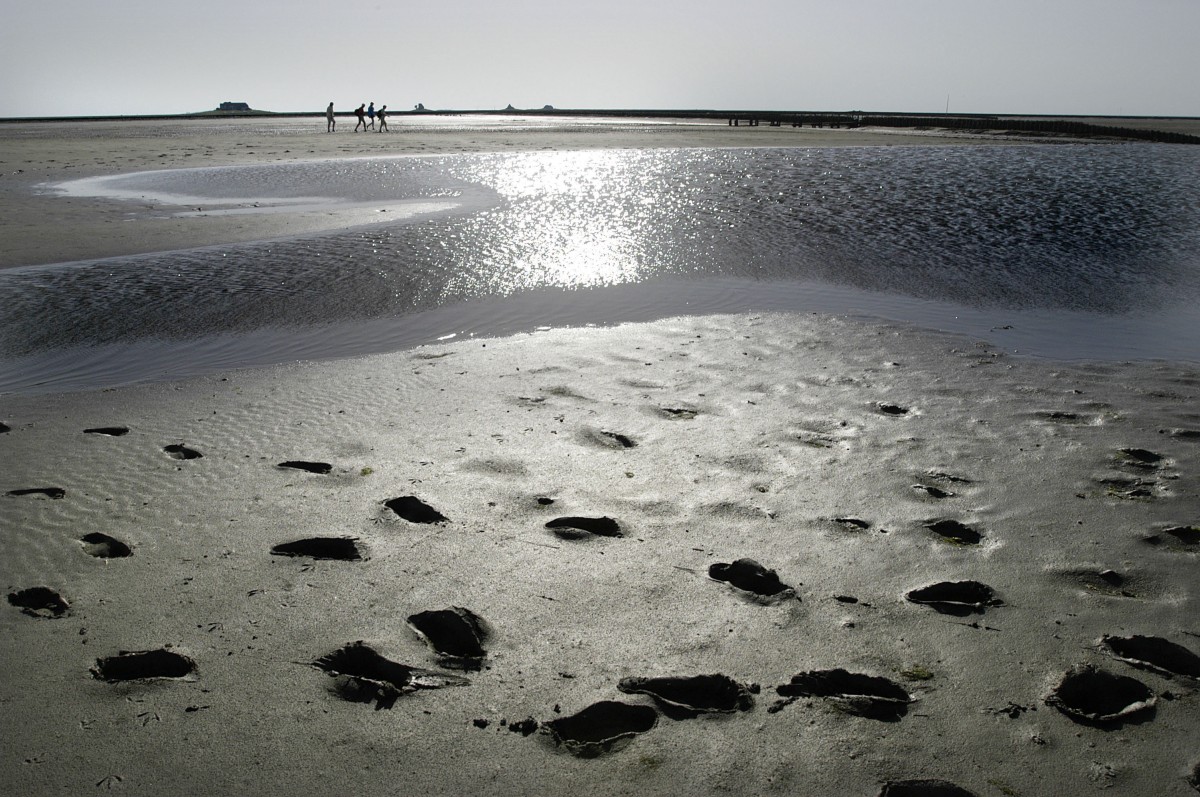 Das Wattenmeer bei Ebbe. Im Hintergrund die nordfriesische Hallig Nordstrandischmoor. Aufnahme: Mai 2008.