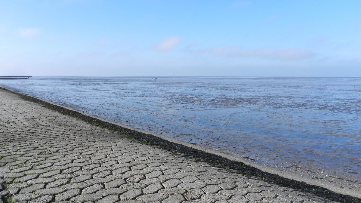 Das Wattenmeer vor dem niedersächsischen Neuharlingersiel am 23.10.2020.