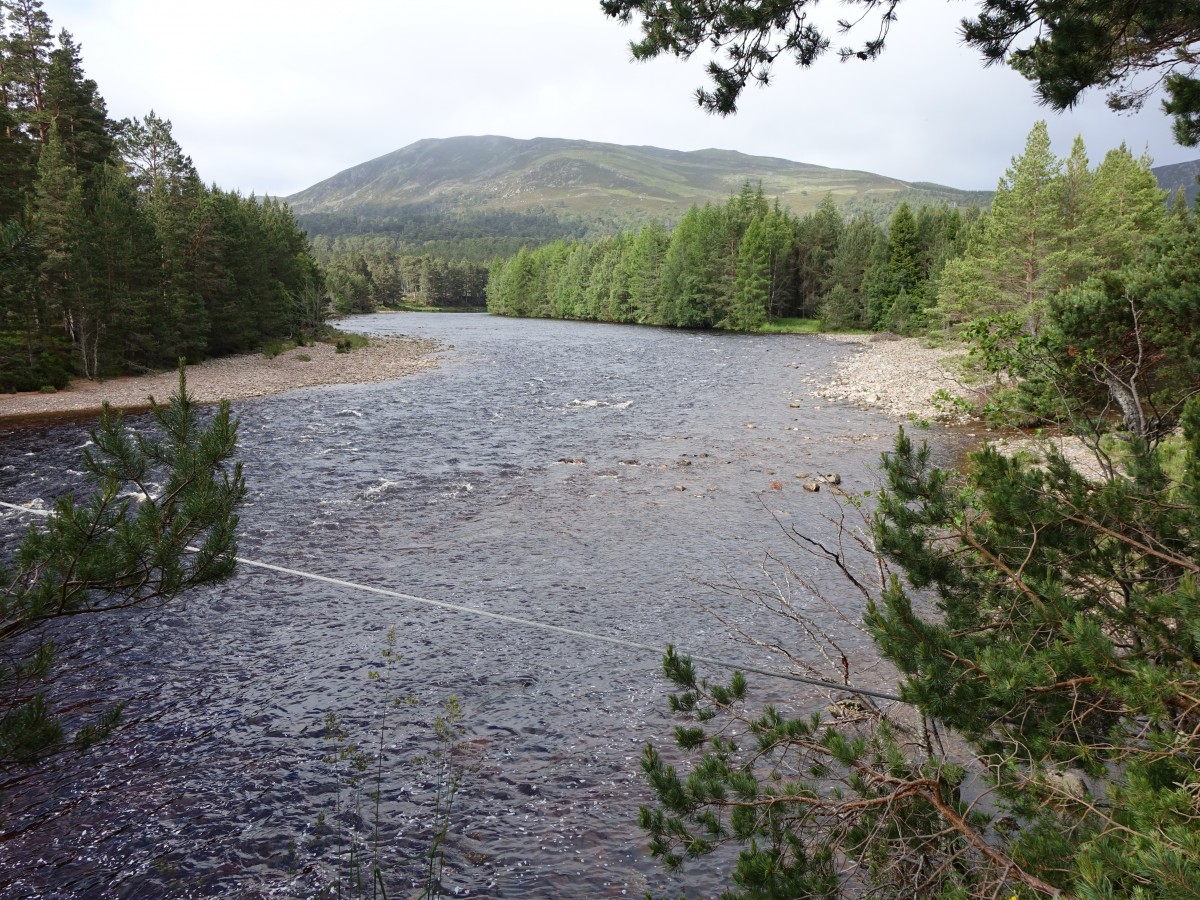 Dee River bei Braemar (08.07.2015)