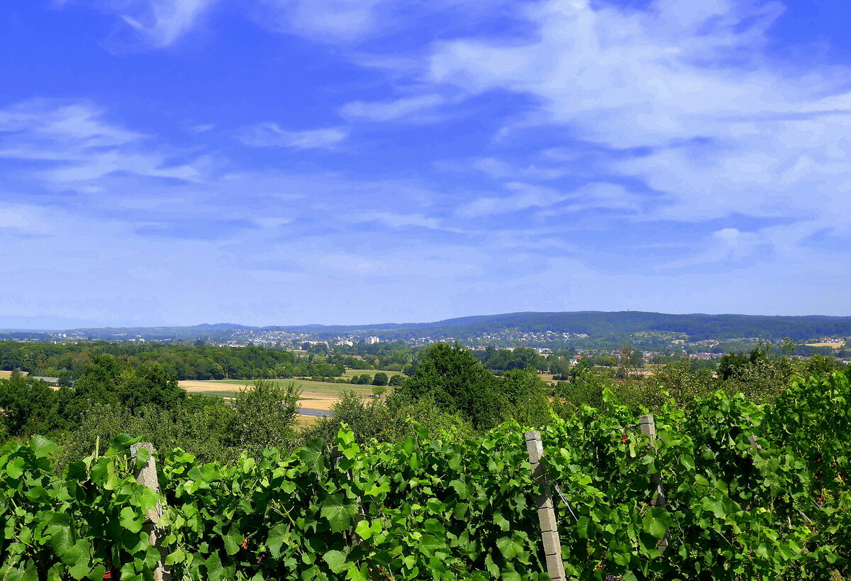 Denzlingen, Blick vom Mauracher Berg nach Norden, am Horizont die Häuser von Emmendingen, Juli 2022