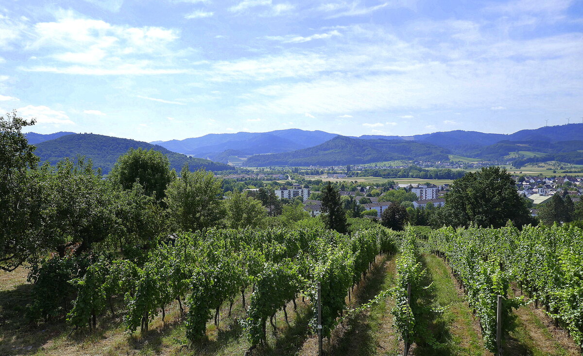 Denzlingen, Blick vom Mauracher Berg über den östlichen Stadtteil zum Schwarzwald mit dem Eingang zum Glottertal, Juli 2022