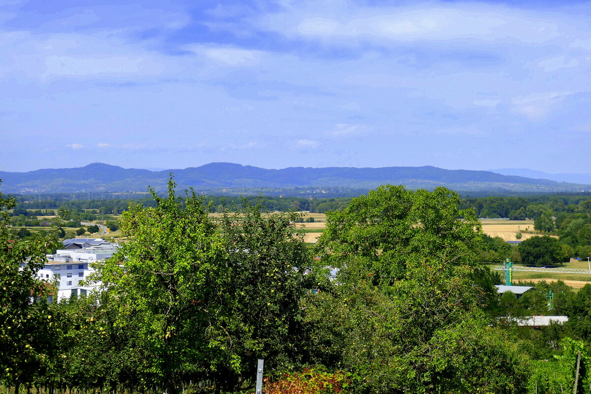 Denzlingen, Blick vom Mauracher Berg über die Rheinebene zum Kaiserstuhl, Juli 2022