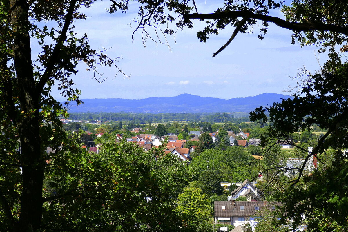 Denzlingen, Blick vom Mauracher Berg über die Stadt zum Kaiserstuhl, Juli 2022