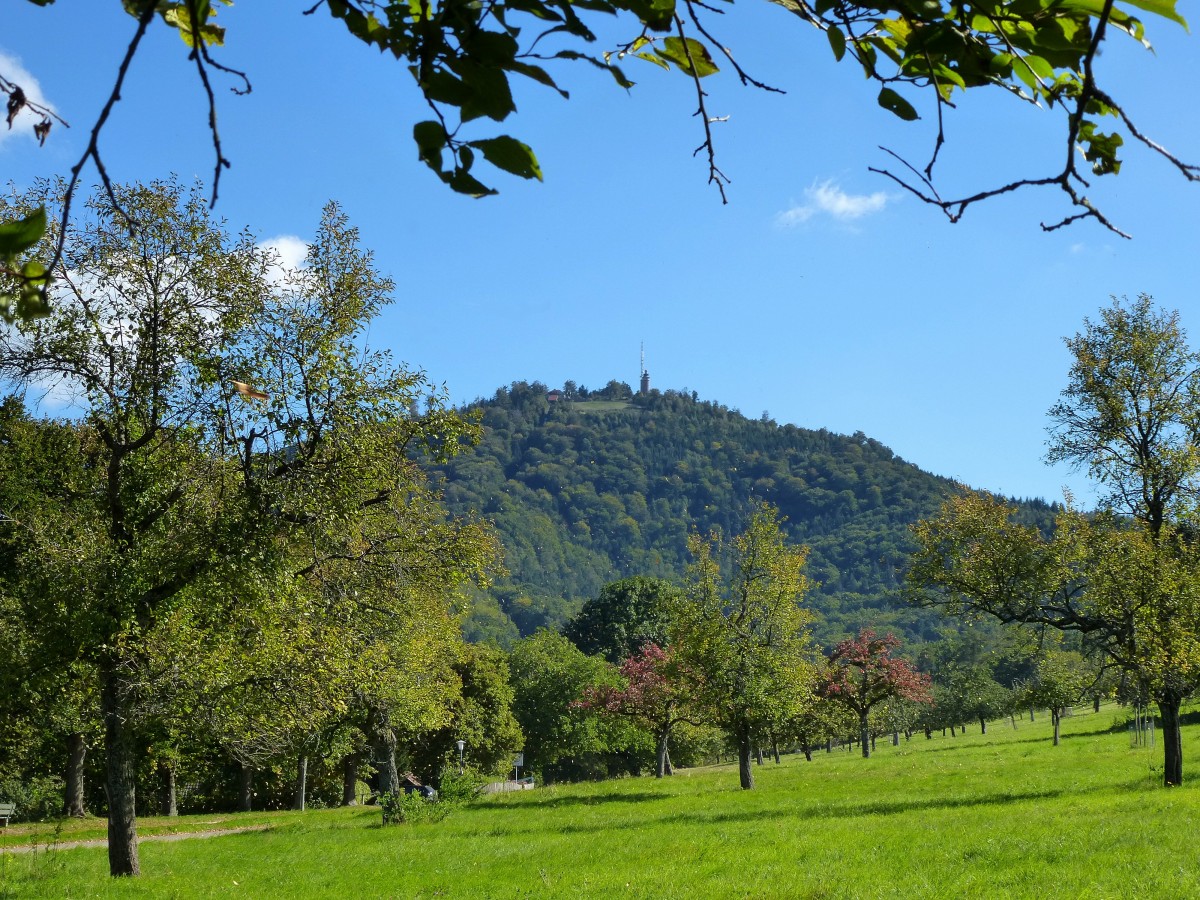 der 668m hohe Merkur im Nordschwarzwald, Hausberg von Baden-Baden, Sept.2015