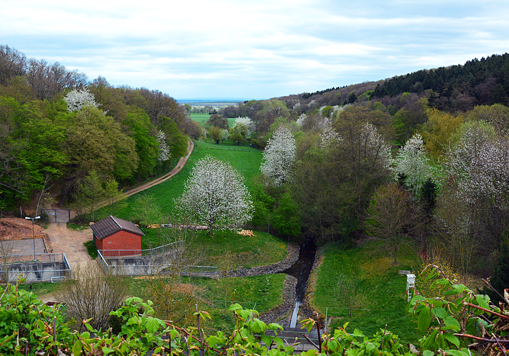 Der  Abfluß  der Steinbachtalsperre, von der Staumauer in Richtung dem Ort Schweinheim - 06.04.2014