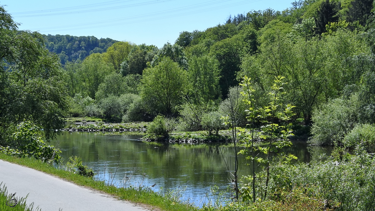 Der an der Ruhr angrenzende Leinenpfad, so gesehen im Mai 2020 in Hattingen.