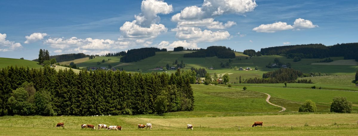 Der Ansicht auf Breitnau. 07.06.2014