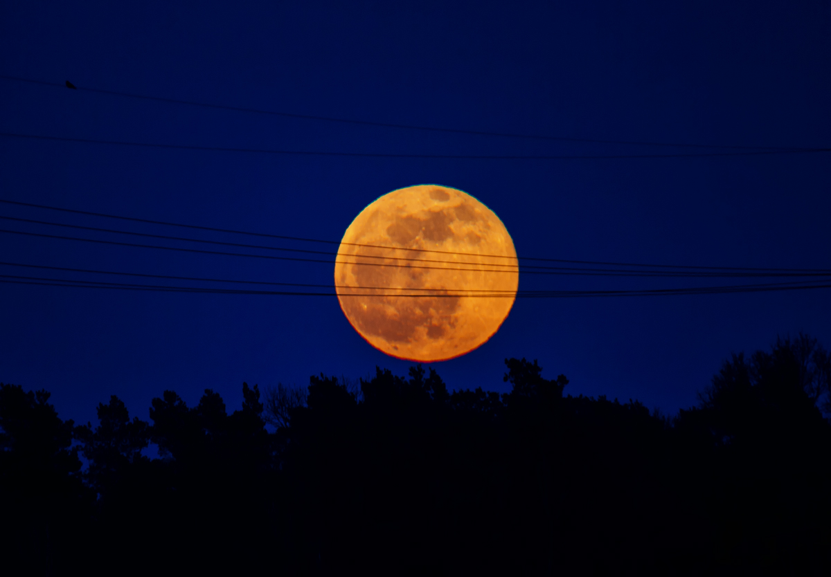 Der aufgehende Mond hier um 19.03 Uhr hinter Hochspannungsleitungen. - 04.04.2015