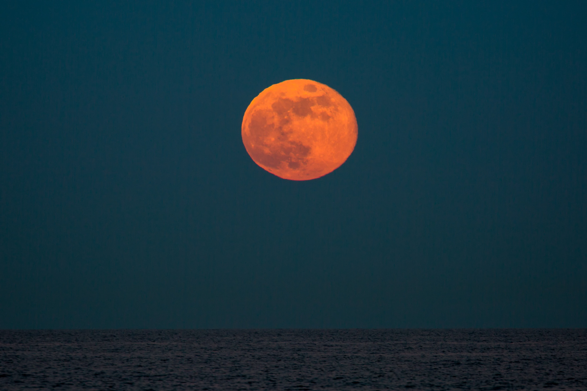 Der aufgehende Vollmond wurde durch Luftspiegelung über der Ostsee leicht verzerrt. - 19.04.2019
