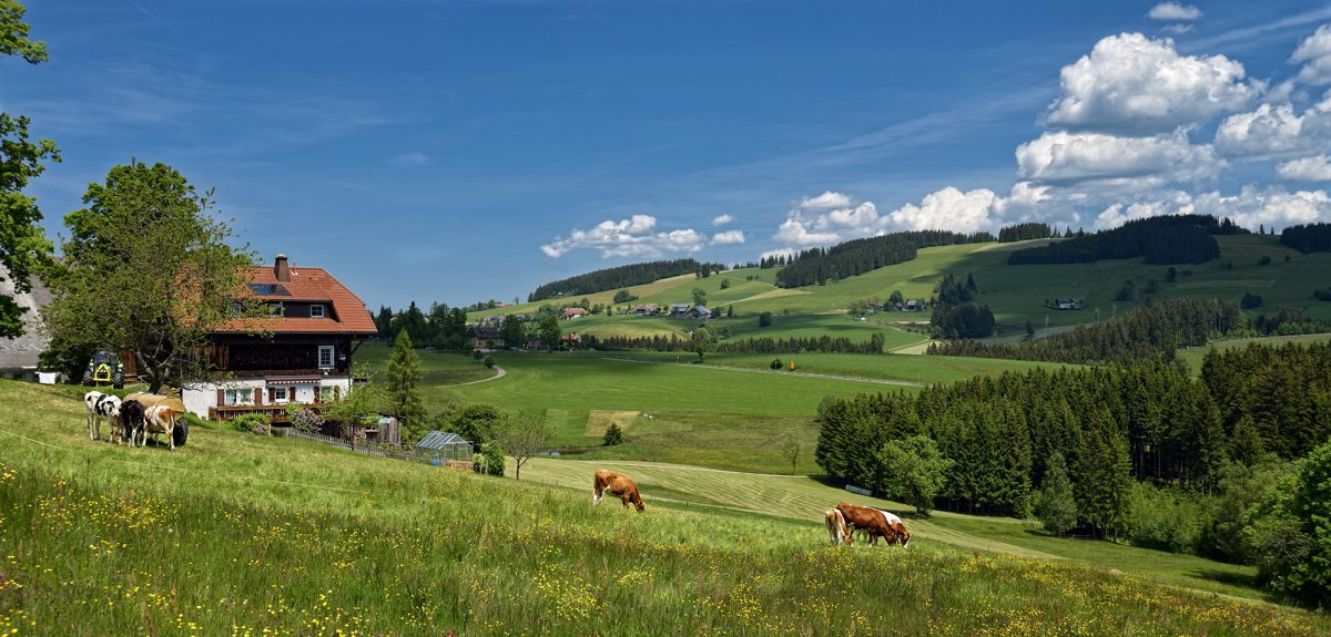 Der Aussicht auf Breitnau. 07.06.2014