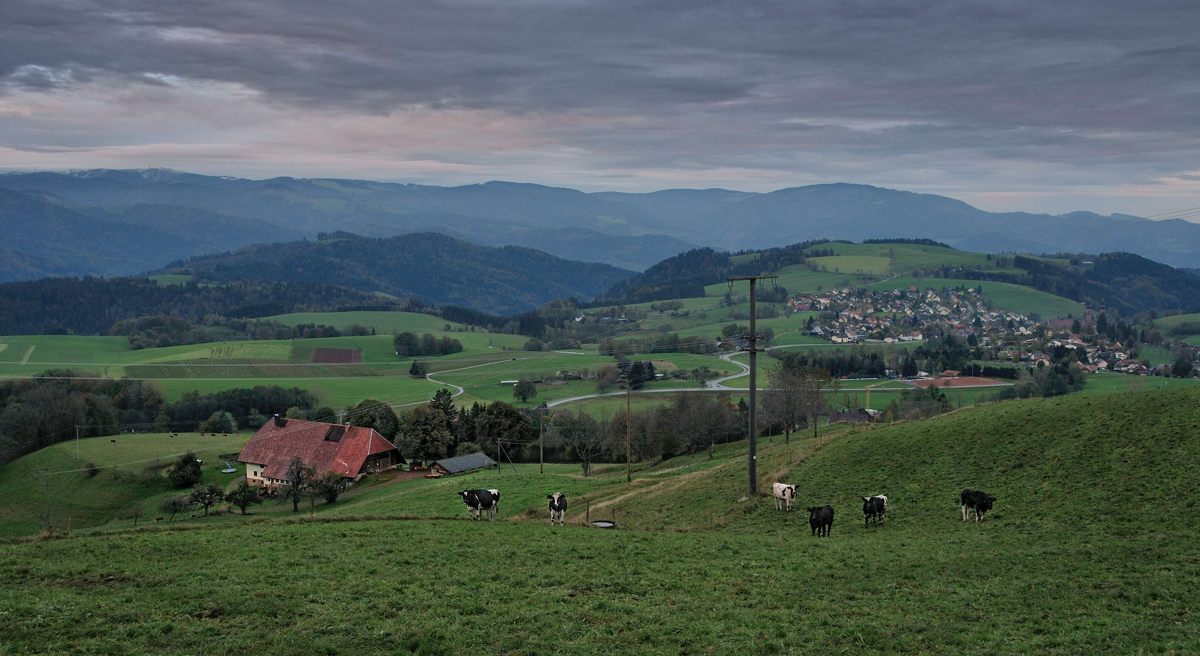 Der Aussicht auf St. Peter (Hochschwarzwald)25.10.2014