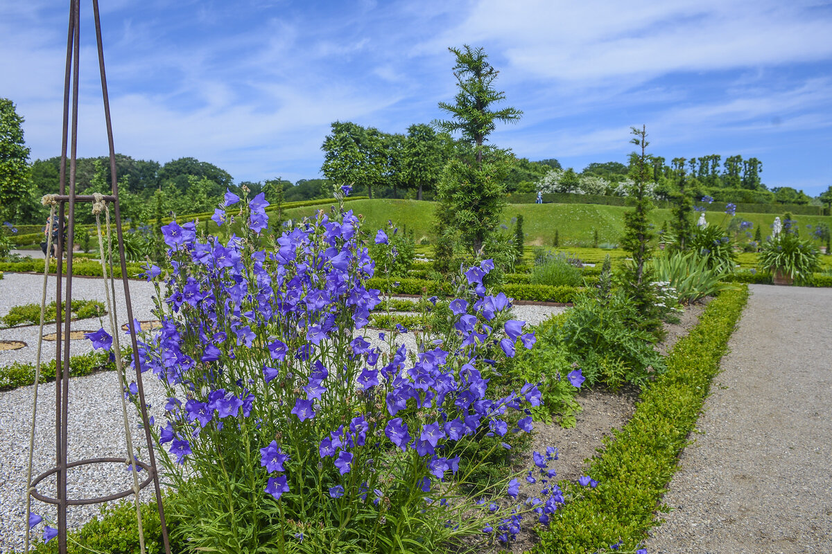 Der Barockgarten ist der berühmteste und auffälligste Teil von Frederiksborg Schlossgarten in der Stadt Hillerød nördlich von Kopenhagen. Aufnahme: 24. Juni 2023.