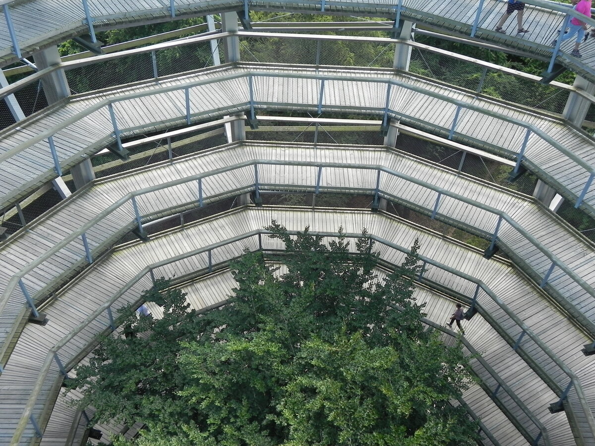 Der Baumwipfelpfad von Prora am 30.06.25.
Mit einer Gesamtlänge von 1.250 Metern und einer Höhe von 4 bis 17 Metern schlängelt sich der Baumwipfelpfad durch den naturnahen Buchenmischwald.