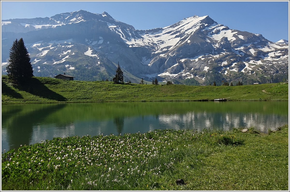 Der Bergsee Retaudt ( 1685 M.ü.M) mit Blick auf die Diablerets Gletscher (ca.3000 M.ü.M).
(29.05.2020)