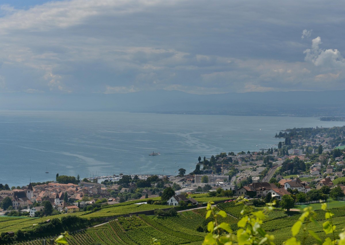 Der Blick auf den Genfer See bei Bossire am 26.08.2013.