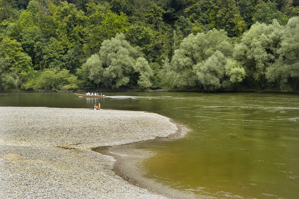 Der Donaudurchbruch bei Wellenberg. Aufnahme: Juli 2008.