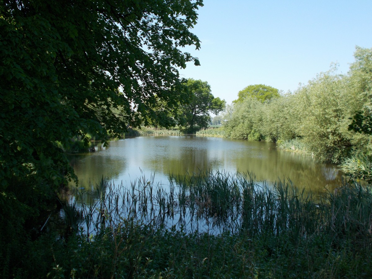 Der Dorfteich von Patzig am 22.Mai 2014.