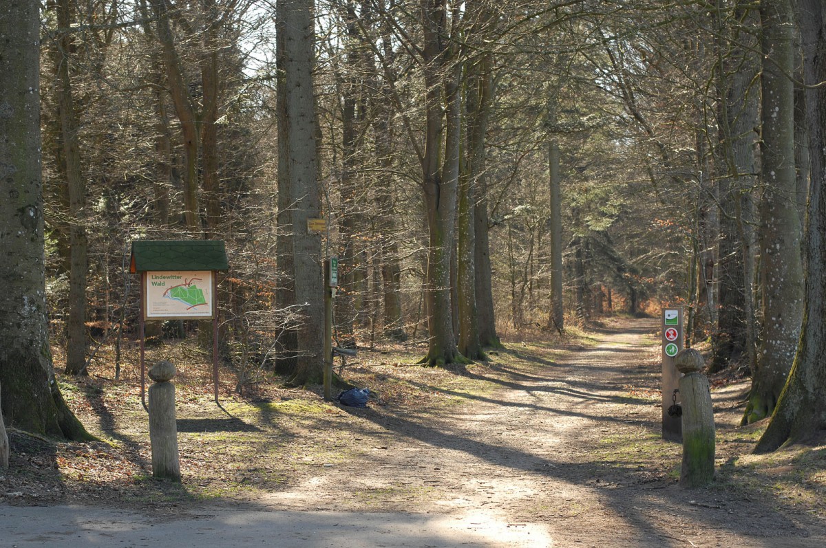 Der Eingang zum Lindewitter Wald am Mühlenbach. Aufnahme: März 2012.