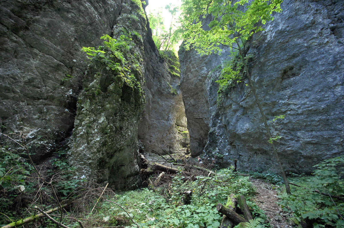 Der Eingang zur Pokljuka Schlucht in Slowenien. Aufnahme: 3. August 2016.