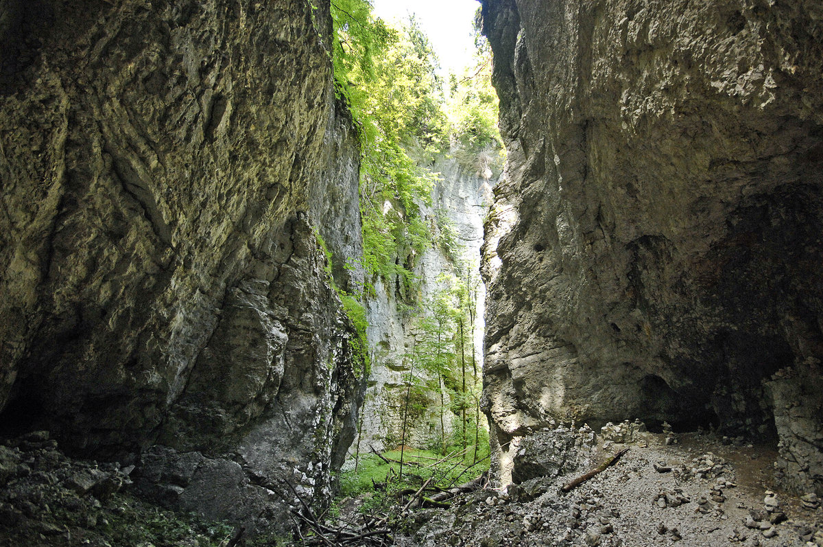 Der Eingang zur Pokljuka Schlucht in Slowenien. Aufnahme: 3. August 2016.