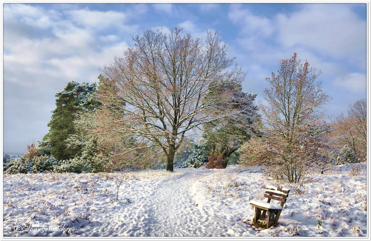 Der erste Schnee in der Lüneburger Heide. Oberhaverbeck/Niederhaverbeck. Am 1.Advent 2023