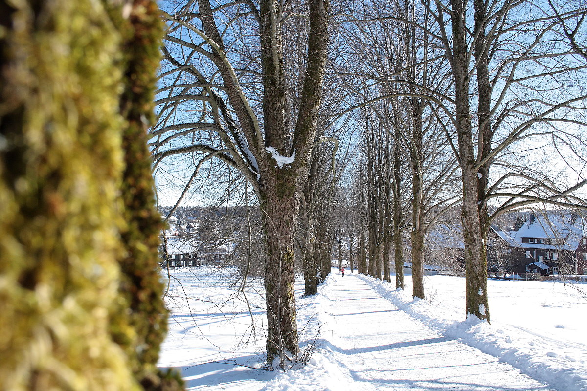 Der erste schöne sonnige Tag nach dem Wintersturm in Norddeutschland vom letzten Wochenende: Die Rathausallee in Braunlage um die Mittagszeit des Sa., 13.02.2021...