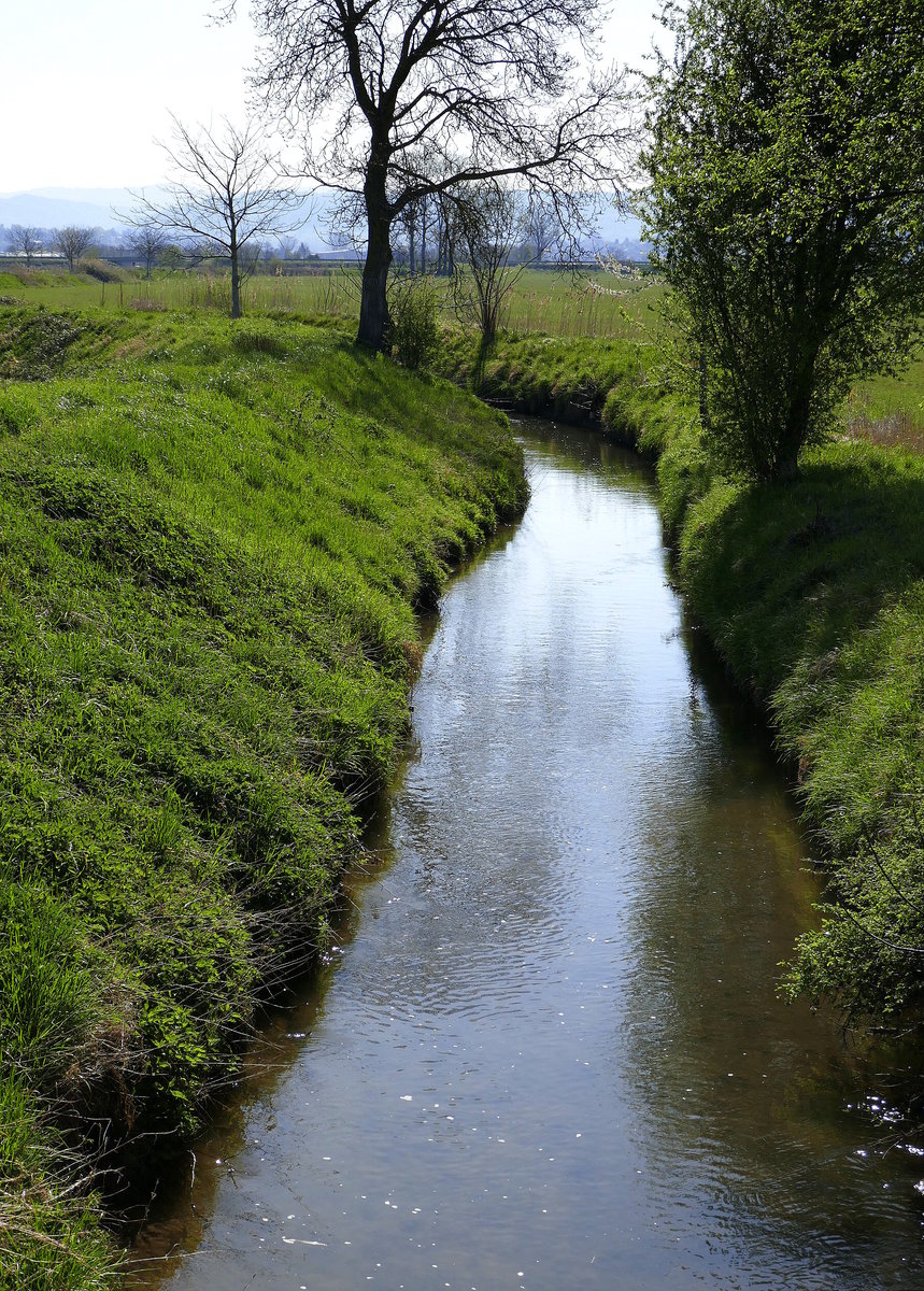 der Ettenbach bei Grafenhausen, vom Schwarzwald kommend fießt er durch die Rheinebene und mündet bei Kappel in die Elz, März 2020  