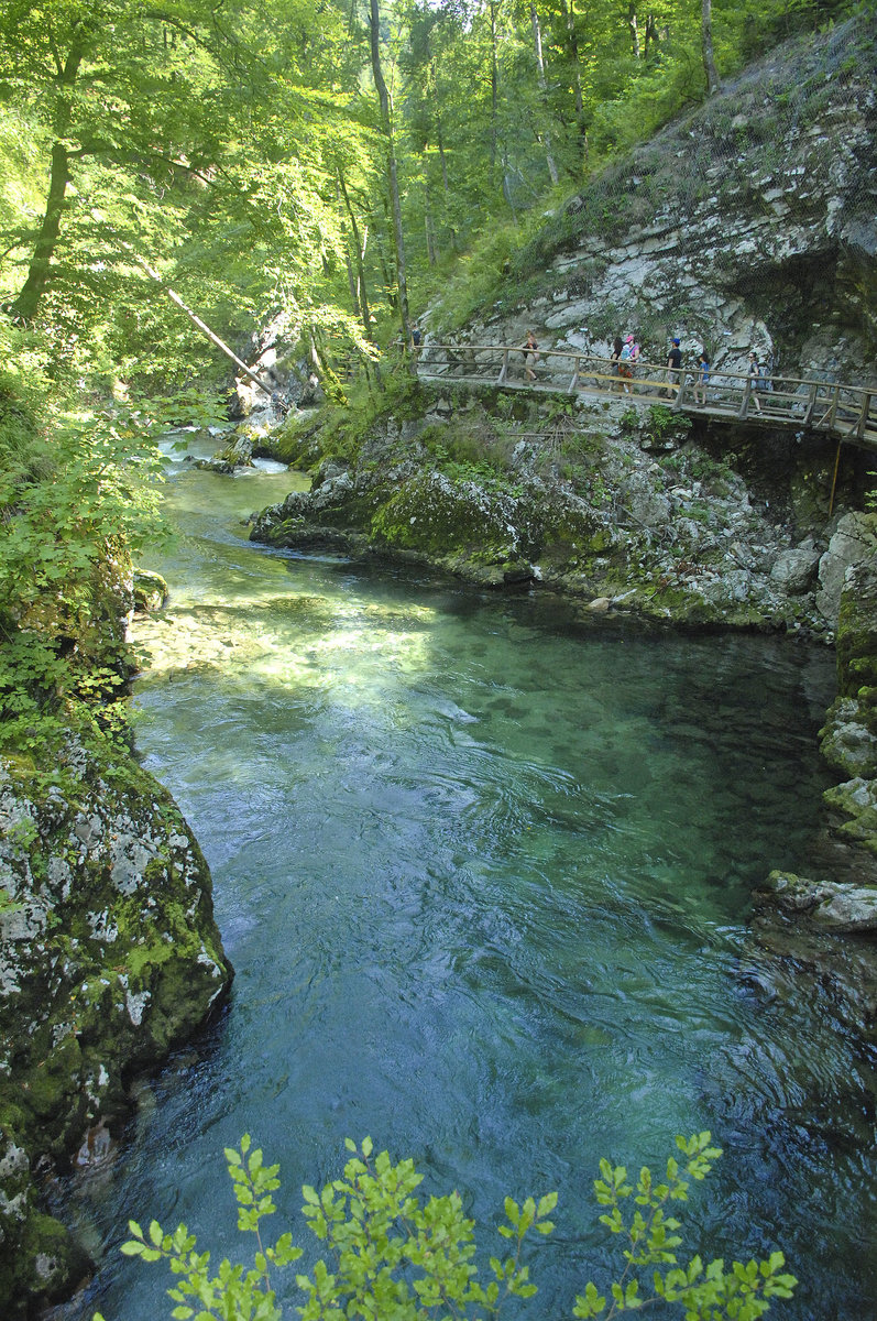 Der Fluss Radovna in der Vintgar-Klamm (slowenisch: Blejski Vintgar). Aufnahme: 2. August 2016.