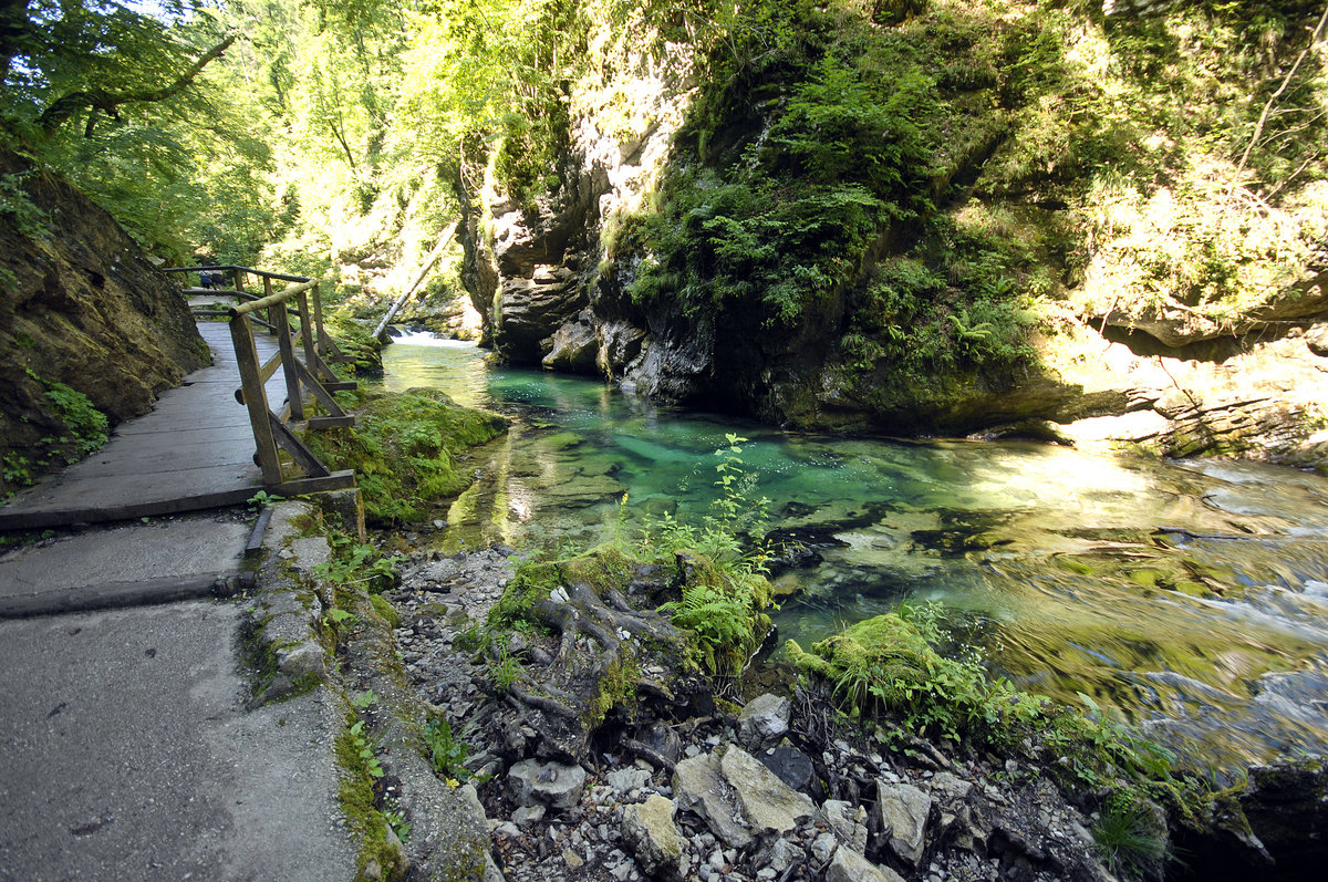 Der Fluss Radovna in der Vintgar-Klamm (slowenisch: Blejski Vintgar). Aufnahme: 2. August 2016.
