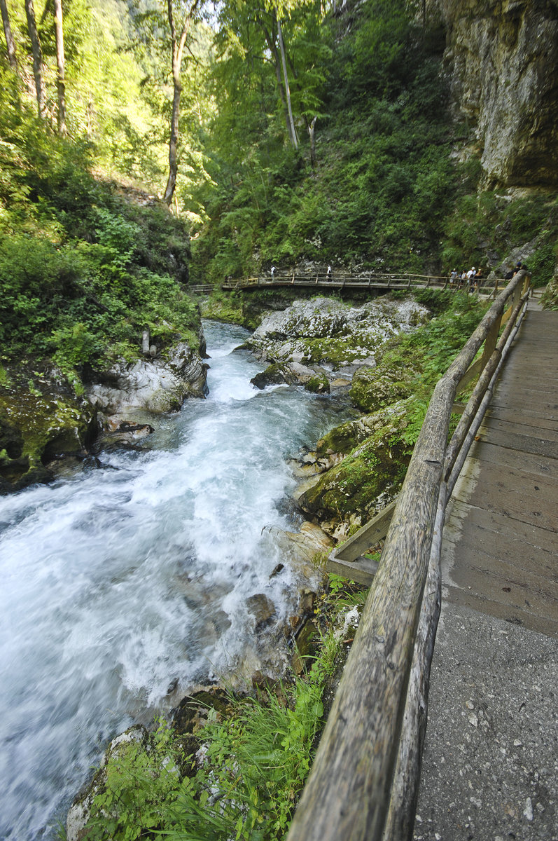 Der Fluss Radovna in der Vintgar-Klamm (slowenisch: Blejski Vintgar). Aufnahme: 2. August 2016.