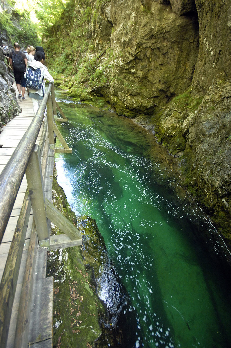 Der Fluss Radovna in der Vintgar-Klamm (slowenisch: Blejski Vintgar). Aufnahme: 2. August 2016.