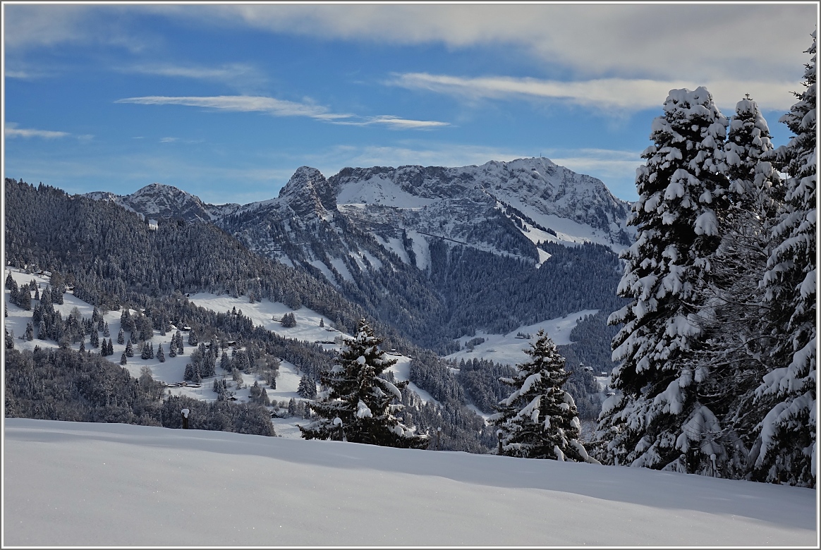 Der frischgefallene Schnee verzaubert die Landschaft. 
Ausblick vom Les Pleiadés auf den Rochers-de-Naye.
(21.01.2015)