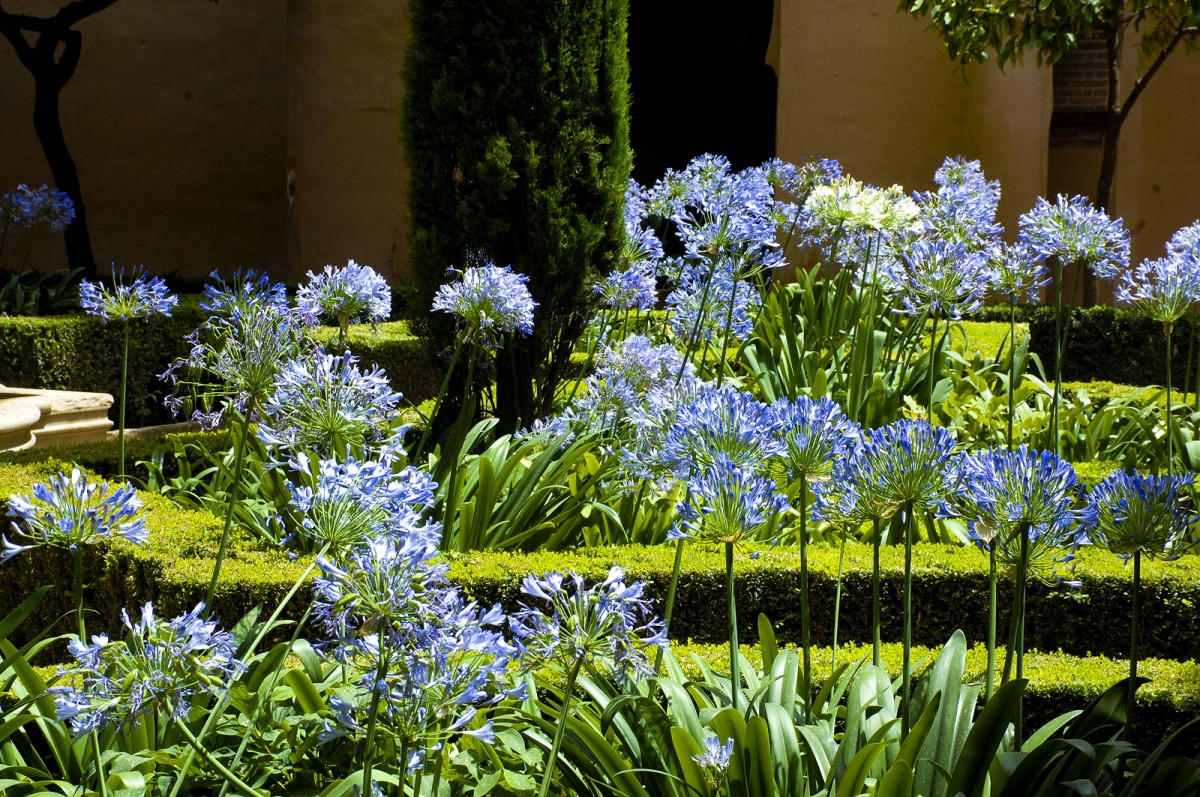 Der Garten von Alhambra, Granada. Aufnahme: Juli 2014.