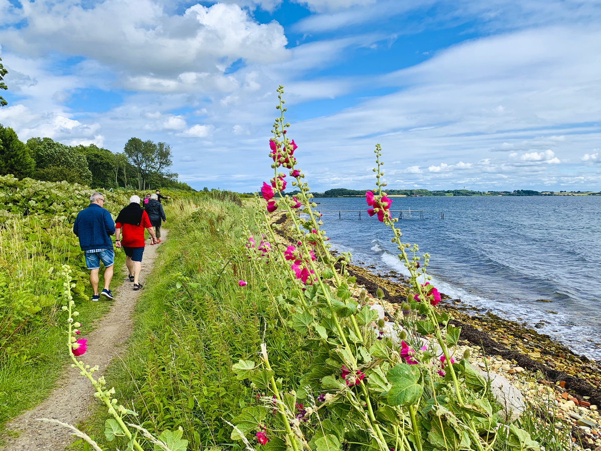 Der Gendarmenpfad vom dänischen Padborg/Pattburg bis ins dänische Høruphav/Höruphaff gilt als einer der schönsten Wanderwege Dänemarks und ist auf seinen 74 km per Rad oder zu Fuß zu entdecken. Liebliche Landschaften, sanfte Hügel und Sandstrände begleiten den einstigen Patrouillenweg (hier bei Egernsund/Ekensund) der Gendarmen entlang der Flensburger Förde. Aufnahme: 12. Juli 2020.