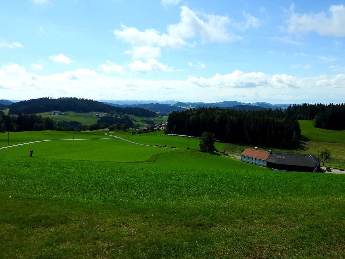 Der höchste Punkt(980m) des 84km langen Johannesweges, im Bereich der Kammererkapelle; 200625