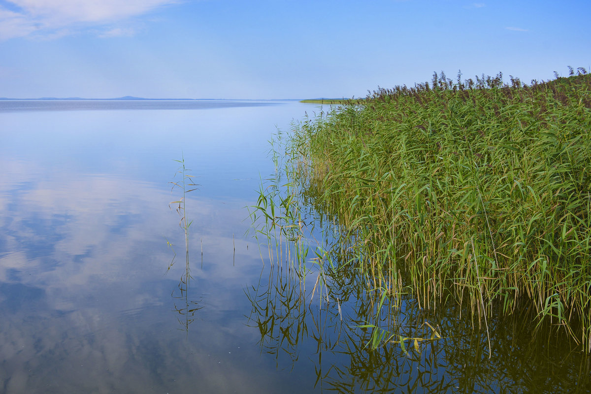 Der Jezioro Łebsko (deutsch Lebasee) ist ein Strandsee in der polnischen Woiwodschaft Pommern. Zur Ostsee wird der Lebasee durch eine 800 Meter bis 2,5 Kilometer breite und 17 Kilometer lange Nehrung abgeriegelt. Aufnahme: 17. August 2020.