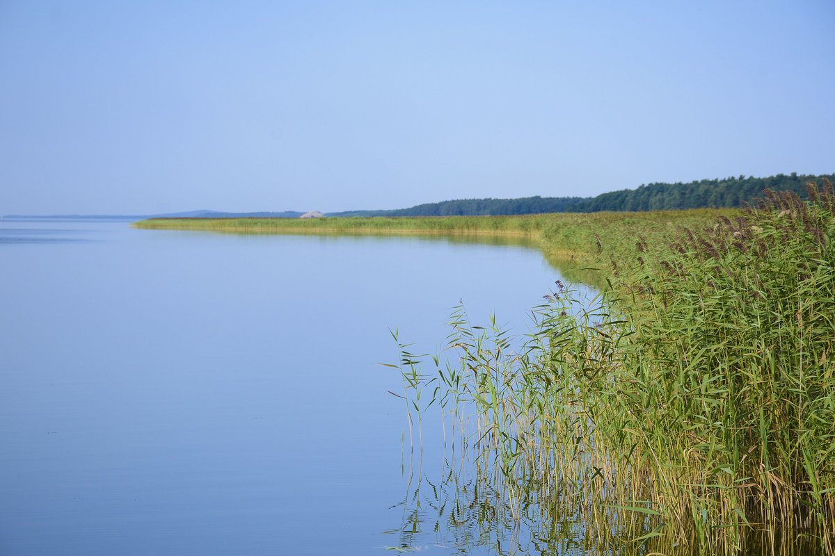 Der Jezioro Łebsko (deutsch Lebasee). Der See war ab 1776 Gegenstand eines gescheiterten Projekts. Man wollte den Wasserstand des Lebasees absenken und dadurch die Trockenlegung der umliegenden Sümpfe erleichtern. Zu diesem Zweck ließ er die Preußische Obrigkeit einen Kanal vom Lebasee zur Ostsee graben, etwa auf der Mitte der Nehrung.
Der Kanal wurde ab 1777 für die Schifffahrt als Seehafen genutzt. Bald zeigte sich jedoch, dass bei Stürmen das Wasser der Ostsee in den Kanal und so in den Lebasee gedrückt wurde, der Wasserspiegel des Lebasees dadurch stieg und Überschwemmungen verursacht wurden.
Bei einem Sturm in 1779 wurde das Kanalbauwerk zerstört und es bestand die Gefahr, dass sich der Durchbruch vergrößern und der Lebasee zu einer Bucht der Ostsee werden könnte. Daher wurde der Kanal 1783 wieder verschlossen und der alte Ausfluss der Leba aus dem Lebasee gereinigt und wiederhergestellt
Aufnahme: 17. August 2020.