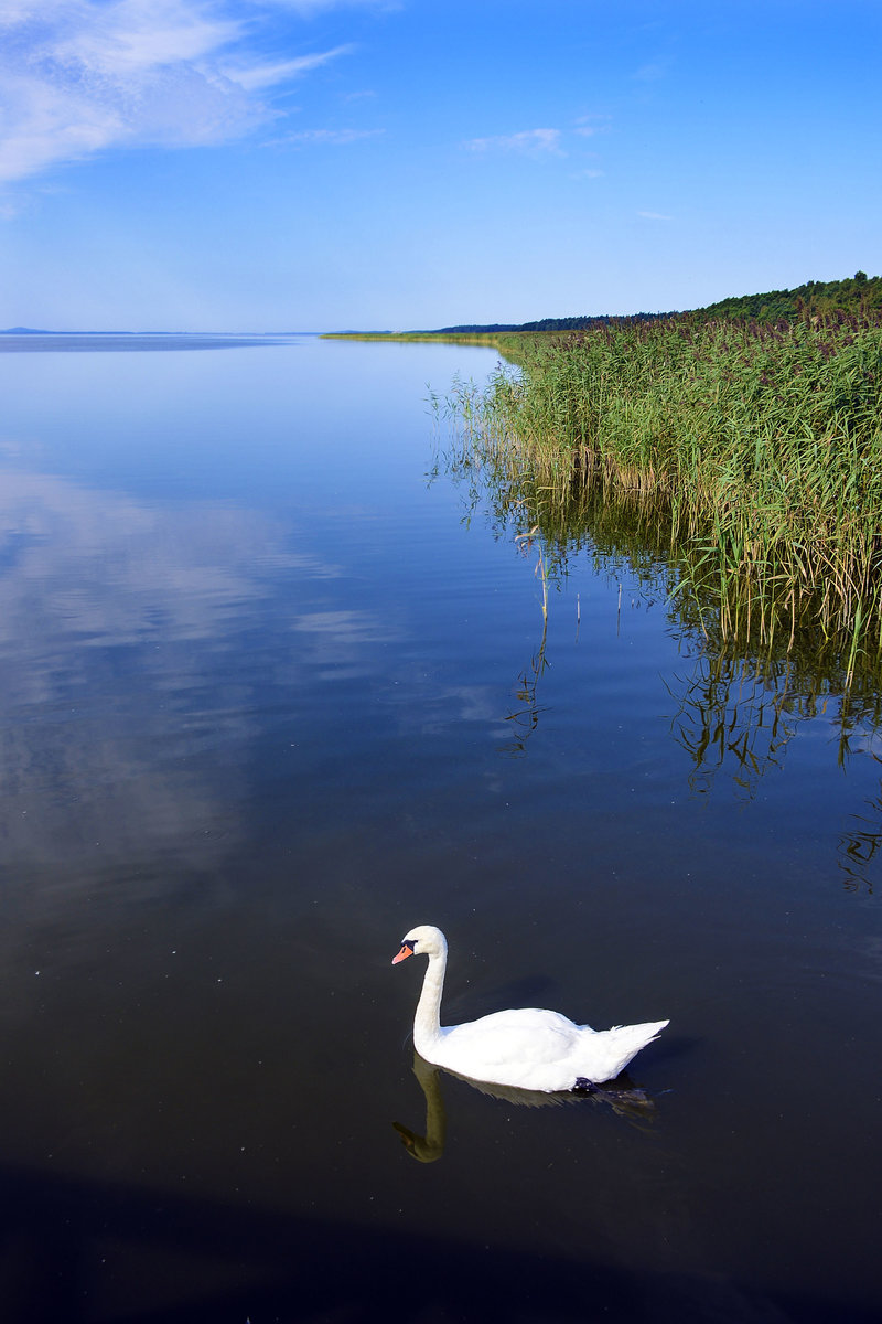 Der Jezioro Łebsko (deutsch Lebasee) im Slowinischen Nationalpark an der polnischen Ostseeküste. Aufnahme: 17. August 2020.